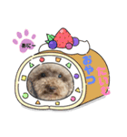 爆食わんこ（個別スタンプ：3）