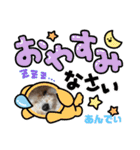 爆食わんこ（個別スタンプ：4）