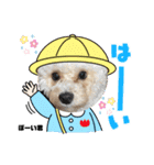 爆食わんこ（個別スタンプ：5）