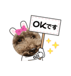 爆食わんこ（個別スタンプ：6）
