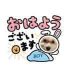 爆食わんこ（個別スタンプ：7）