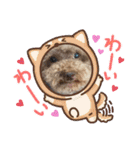 爆食わんこ（個別スタンプ：14）