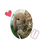 ぽぽちゃんうさぎ♡（個別スタンプ：2）
