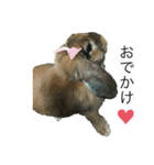 ぽぽちゃんうさぎ♡（個別スタンプ：6）