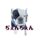 フレブル『B』兄弟～第2弾（個別スタンプ：6）