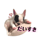 フレブル『B』兄弟～第2弾（個別スタンプ：8）