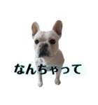 フレブル『B』兄弟～第2弾（個別スタンプ：10）