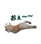 フレブル『B』兄弟～第2弾（個別スタンプ：11）