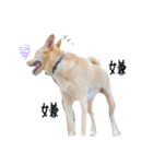 GOOONNN02（個別スタンプ：6）