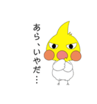 オカメインコのピーさん。第8弾（個別スタンプ：13）
