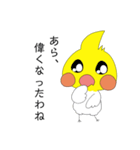 オカメインコのピーさん。第8弾（個別スタンプ：14）