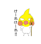 オカメインコのピーさん。第8弾（個別スタンプ：16）