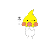 オカメインコのピーさん。第8弾（個別スタンプ：17）