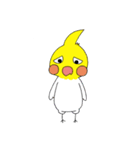オカメインコのピーさん。第8弾（個別スタンプ：23）