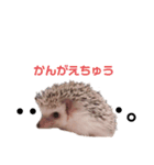 ハリネズミのまろさん②（個別スタンプ：7）