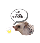 ハリネズミのまろさん②（個別スタンプ：13）
