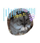 ゆいゆか  ちゃんねる（個別スタンプ：10）