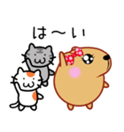 きゃぴばら女子部【ゆるねこ】（個別スタンプ：3）