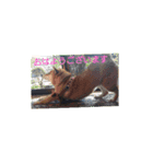 abbbbbbbbee23（個別スタンプ：1）
