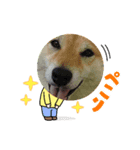 abbbbbbbbee23（個別スタンプ：3）