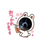 秋田犬虎毛スタンプ（個別スタンプ：4）