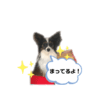 パピパピパピヨン！（個別スタンプ：9）