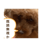 文子の気持ち（個別スタンプ：2）