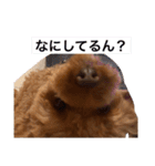 文子の気持ち（個別スタンプ：3）