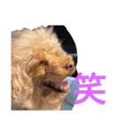 文子の気持ち（個別スタンプ：5）