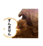 文子の気持ち（個別スタンプ：9）