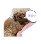 文子の気持ち（個別スタンプ：16）