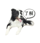 関根家のエス（個別スタンプ：6）