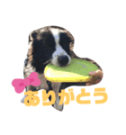 関根家のエス（個別スタンプ：7）