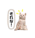 uyu＆rau2（個別スタンプ：7）
