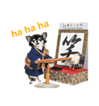 チワワの桜楓part5（個別スタンプ：24）