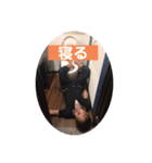 儀間和貴！（個別スタンプ：12）