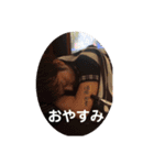 儀間和貴！（個別スタンプ：13）