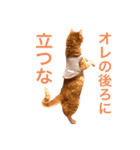 徒然エンゼル（個別スタンプ：1）
