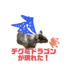 デグミドラゴン（個別スタンプ：1）