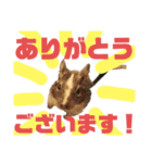 デグミドラゴン（個別スタンプ：3）