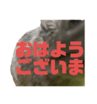 デグミドラゴン（個別スタンプ：4）