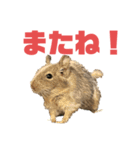 デグミドラゴン（個別スタンプ：17）