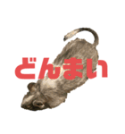 デグミドラゴン（個別スタンプ：22）