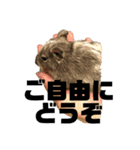 デグミドラゴン（個別スタンプ：26）