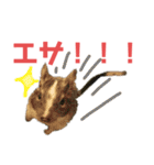 デグミドラゴン（個別スタンプ：29）
