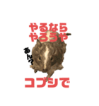 デグミドラゴン（個別スタンプ：30）