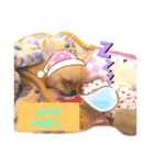 SUNSUN！！   It’sfamily（個別スタンプ：3）