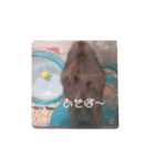 ジャンガリアンハムスターのぷりん（個別スタンプ：10）