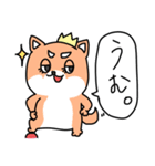 まめしばのまー（個別スタンプ：1）