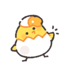 おはよう！ドルピー（個別スタンプ：1）